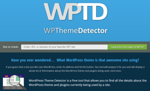 wp-theme-detector